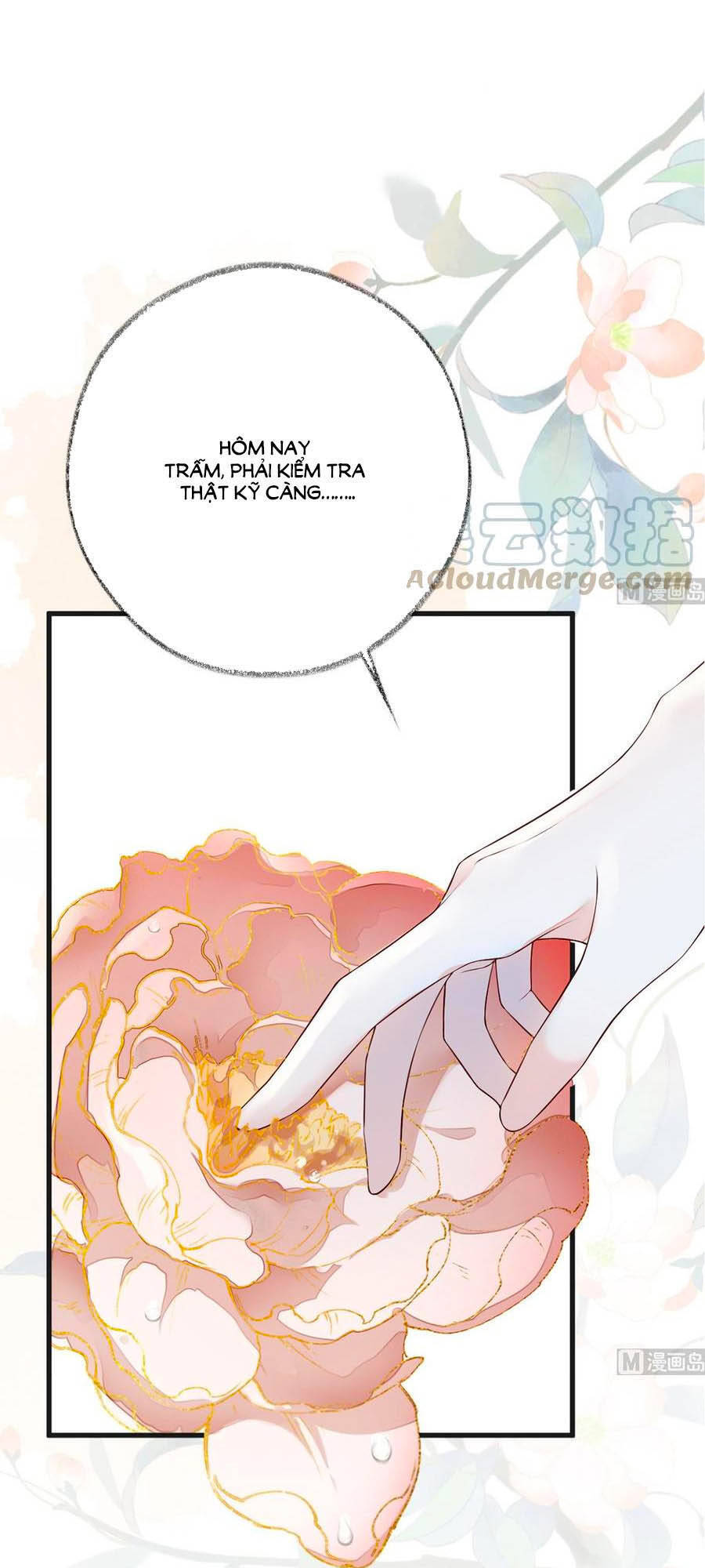 Thái Hậu Quân Hạ Thần Chapter 53 - 36