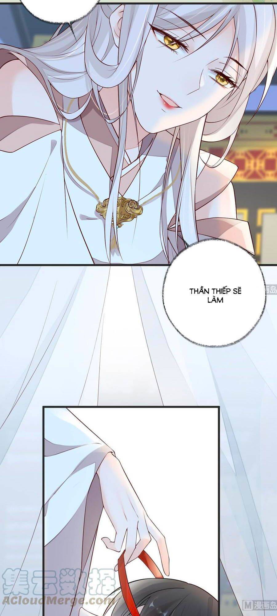 Thái Hậu Quân Hạ Thần Chapter 54 - 13