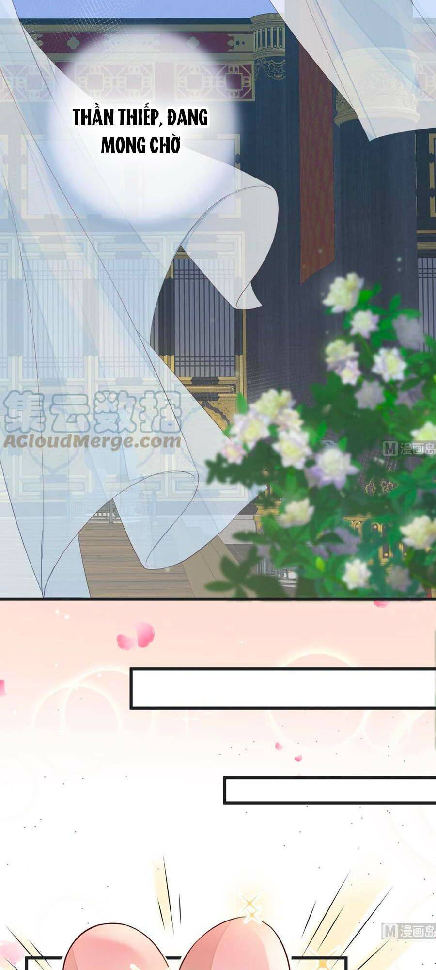 Thái Hậu Quân Hạ Thần Chapter 57 - 13