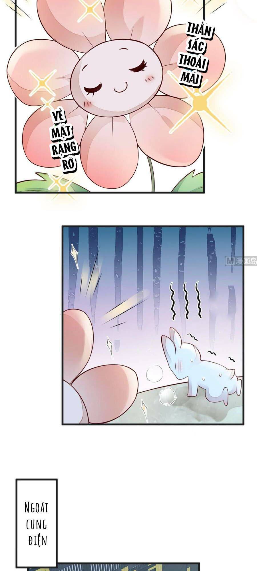 Thái Hậu Quân Hạ Thần Chapter 57 - 14