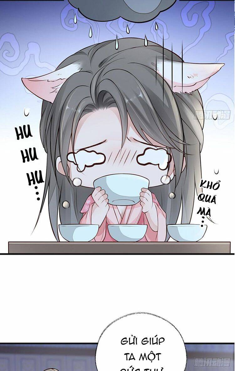 Thái Hậu Quân Hạ Thần Chapter 62 - 28