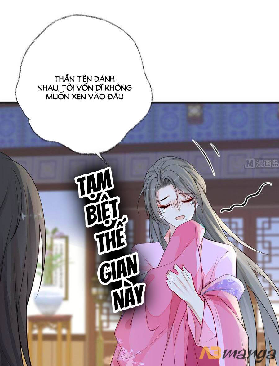 Thái Hậu Quân Hạ Thần Chapter 67 - 13