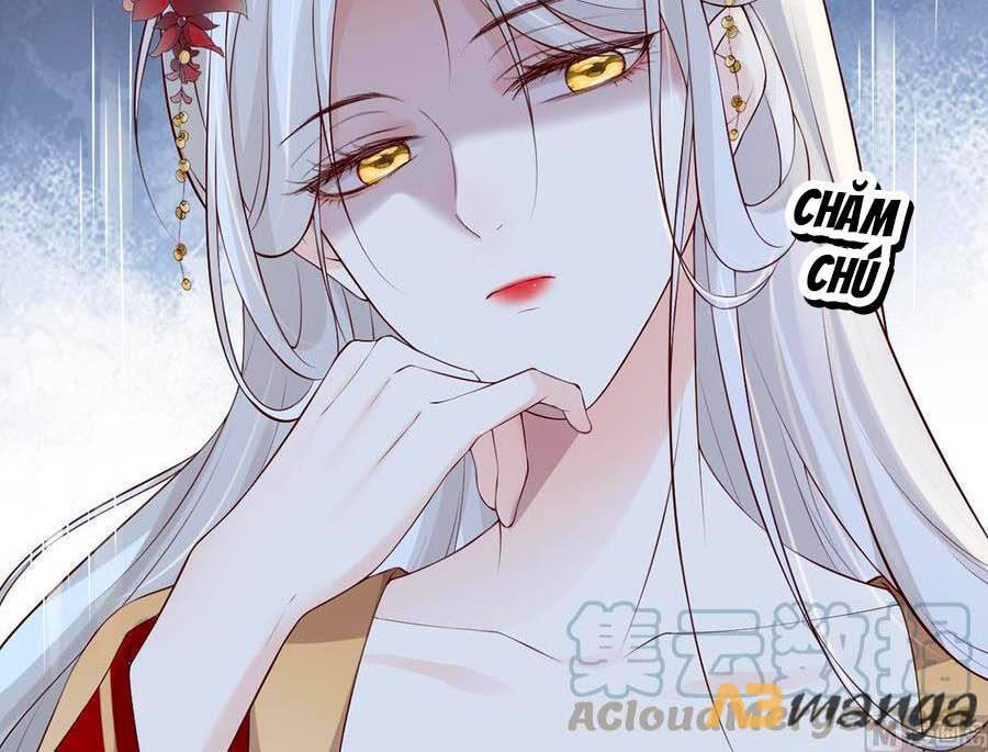 Thái Hậu Quân Hạ Thần Chapter 70 - 3