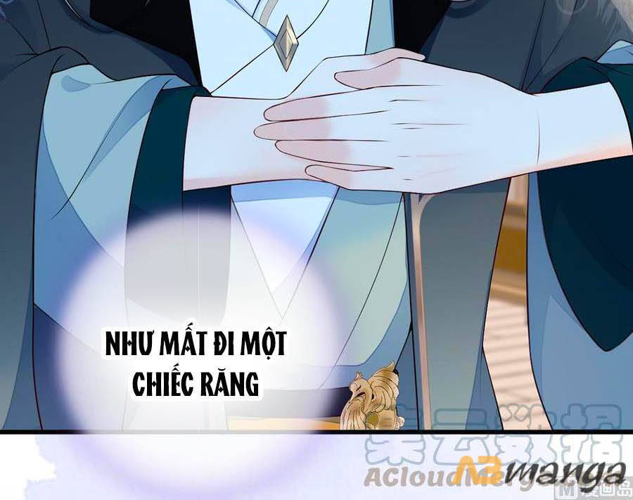 Thái Hậu Quân Hạ Thần Chapter 73 - 3