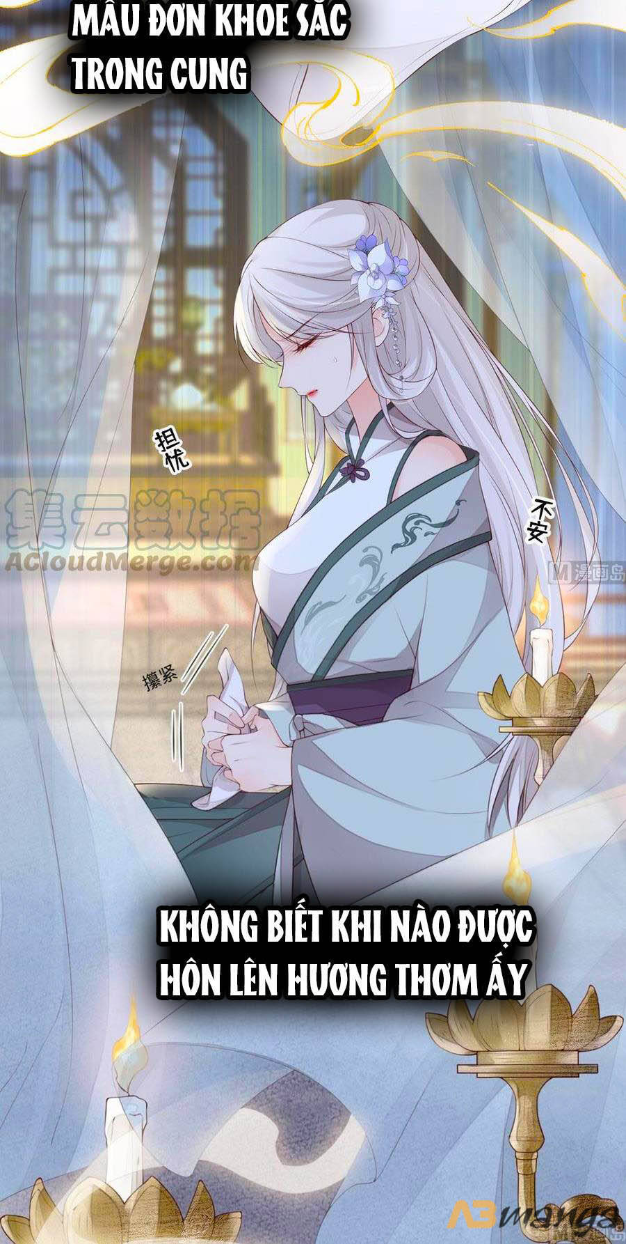 Thái Hậu Quân Hạ Thần Chapter 78 - 17