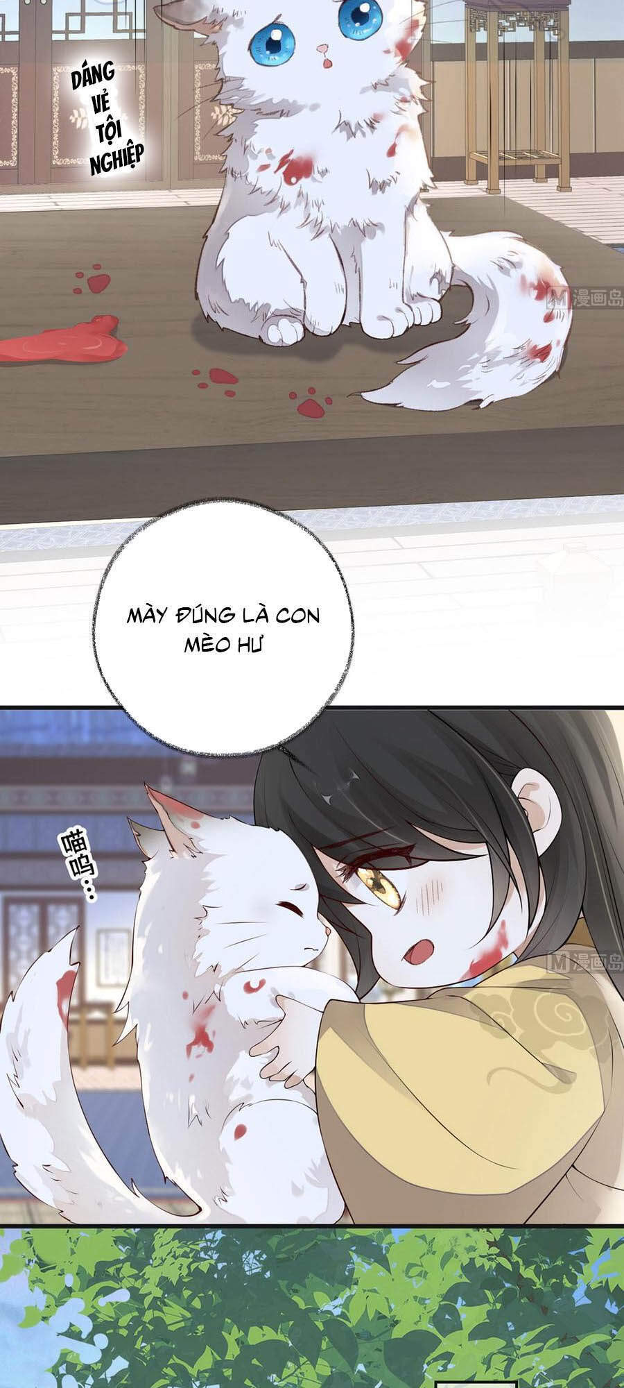 Thái Hậu Quân Hạ Thần Chapter 84 - 13