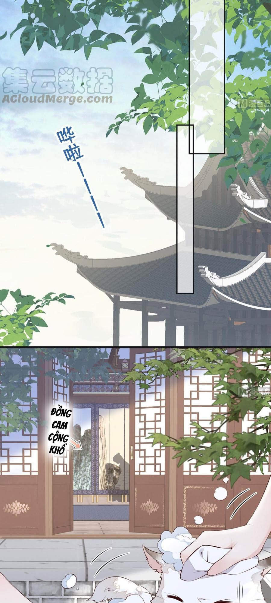 Thái Hậu Quân Hạ Thần Chapter 84 - 14