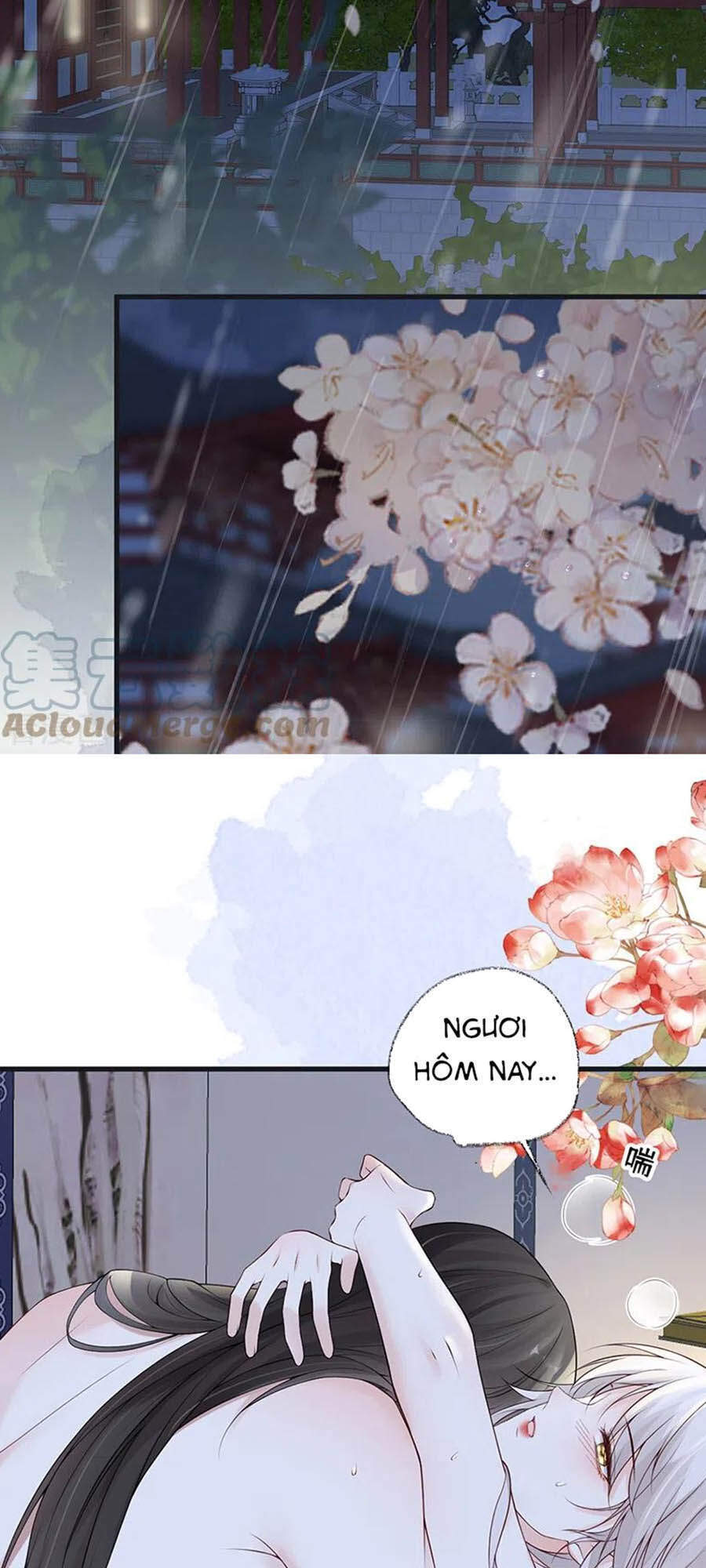 Thái Hậu Quân Hạ Thần Chapter 94 - 18