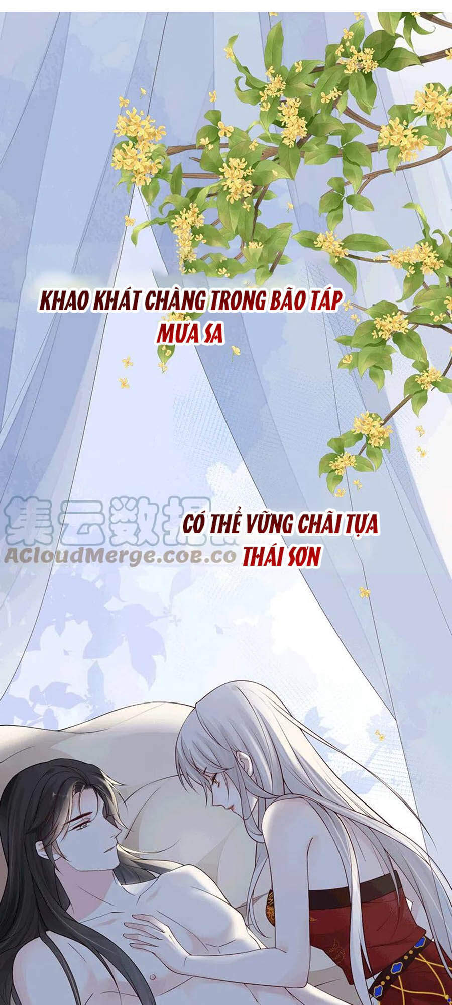 Thái Hậu Quân Hạ Thần Chapter 96 - 5