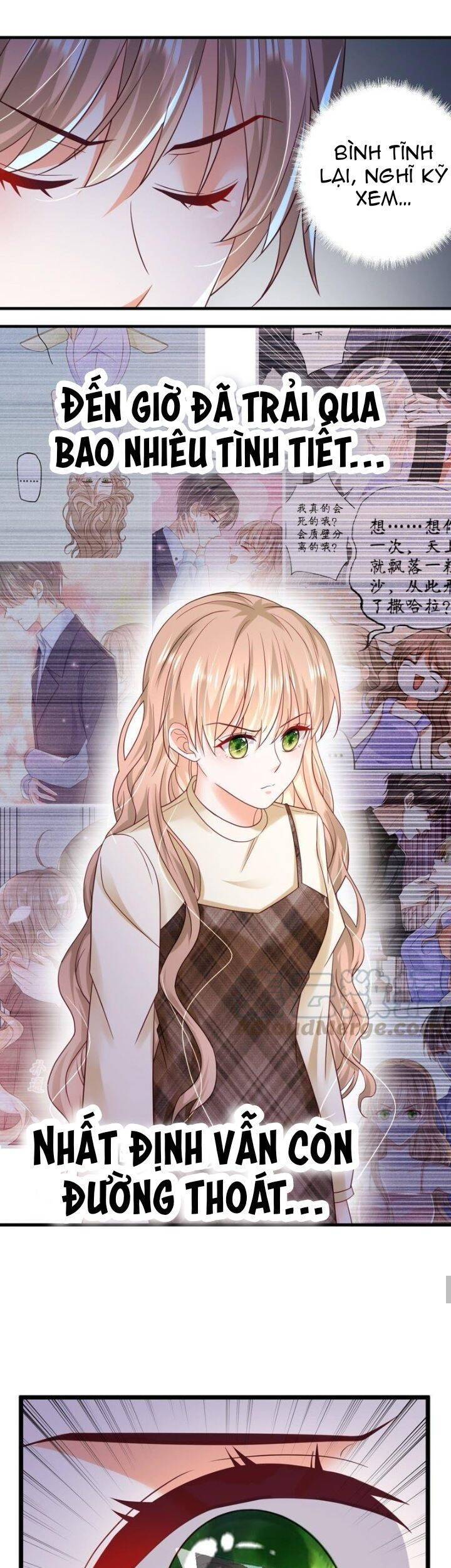 Tổng Tài Phu Nhân Không Muốn Giải Cứu Thế Giới Chapter 34 - 8