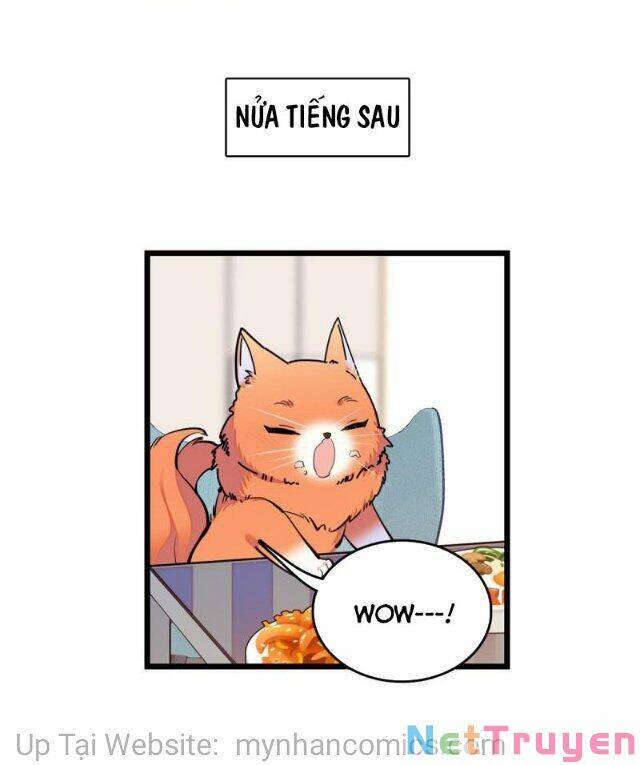 Toàn Mạng Đều Là Fan Cp Của Tôi Với Ảnh Đế Chapter 100 - 42