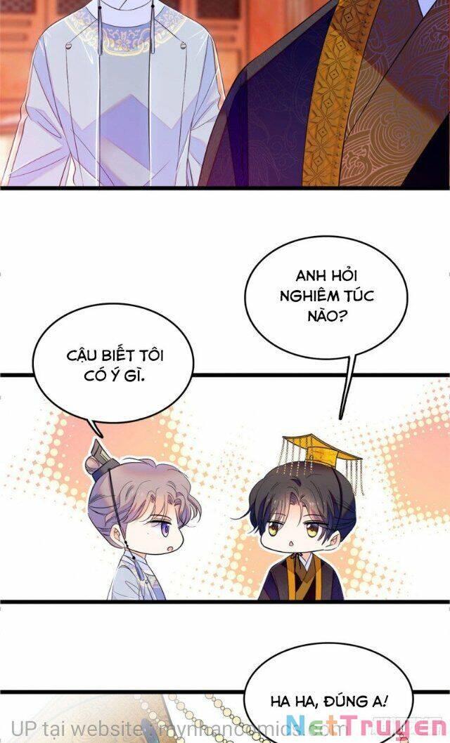 Toàn Mạng Đều Là Fan Cp Của Tôi Với Ảnh Đế Chapter 104 - 41