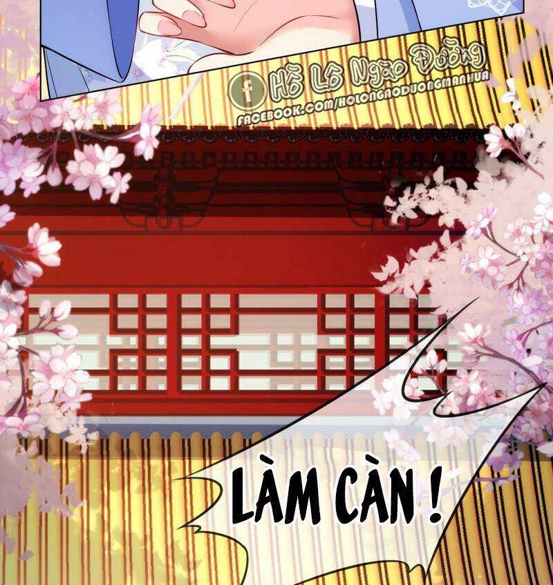 Quận Chúa Vững Vàng, Thiết Lập Nhân Vật Không Thể Vỡ Chapter 41 - 41