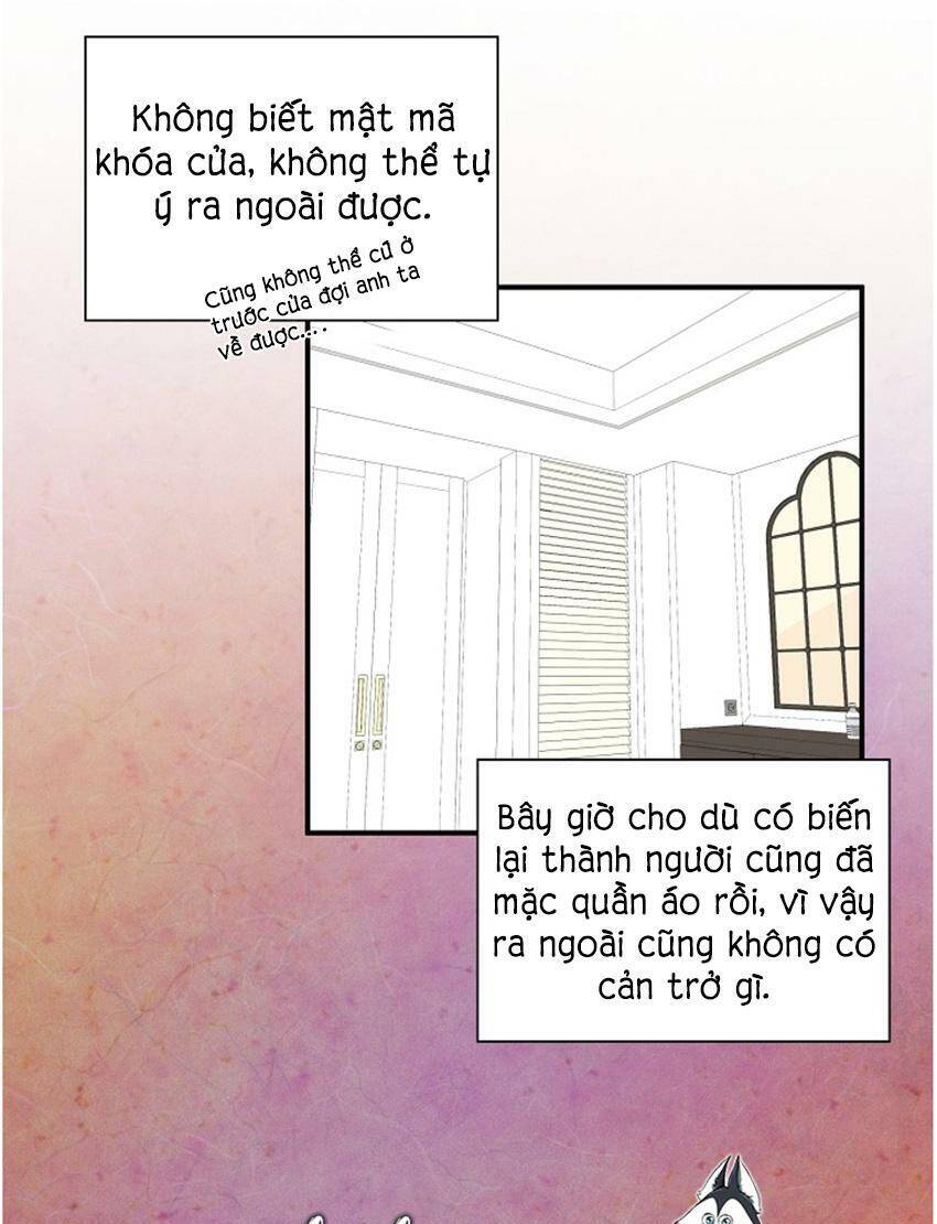 Một Cuộc Sống Kỳ Lạ Chapter 17 - 11