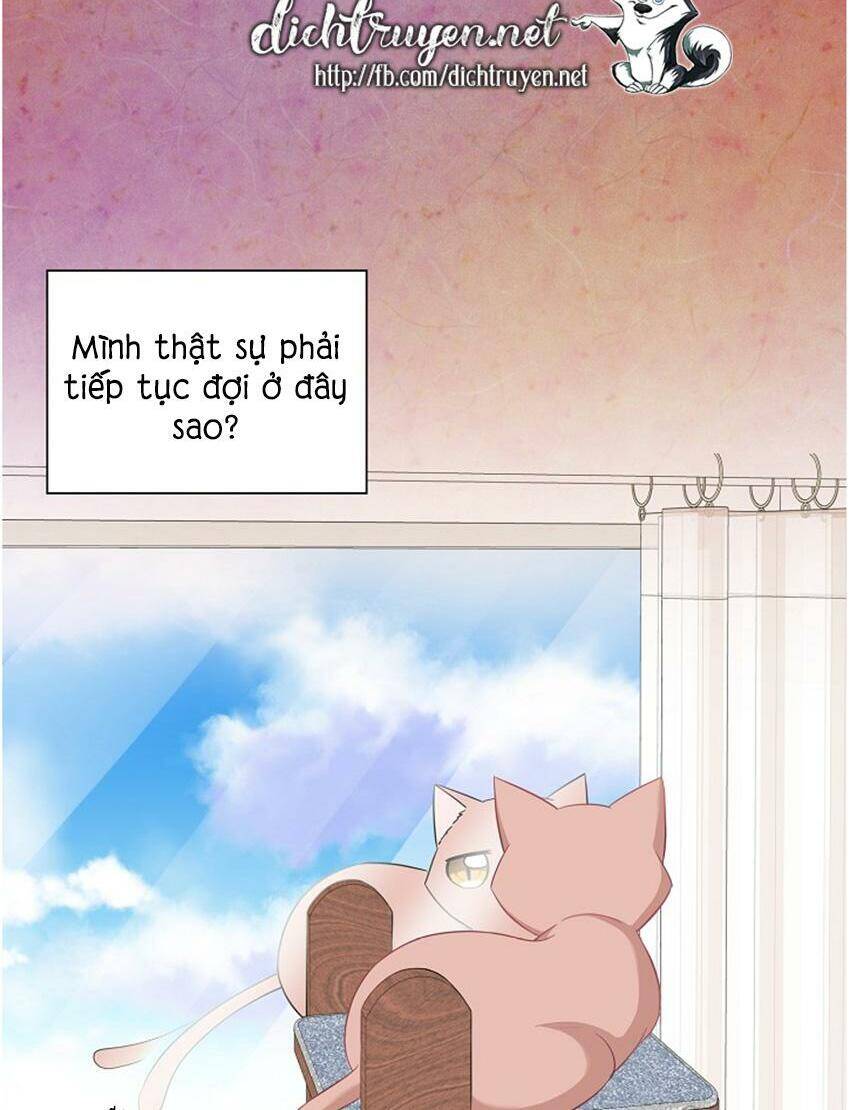 Một Cuộc Sống Kỳ Lạ Chapter 17 - 12