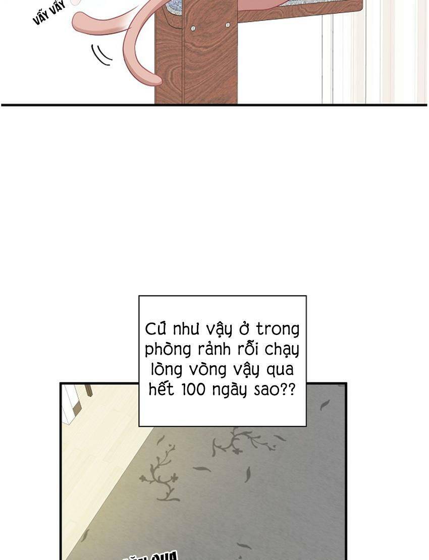 Một Cuộc Sống Kỳ Lạ Chapter 17 - 13