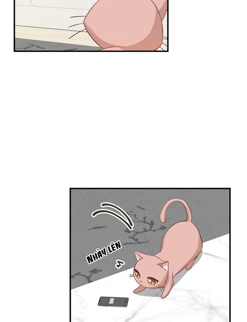 Một Cuộc Sống Kỳ Lạ Chapter 17 - 15