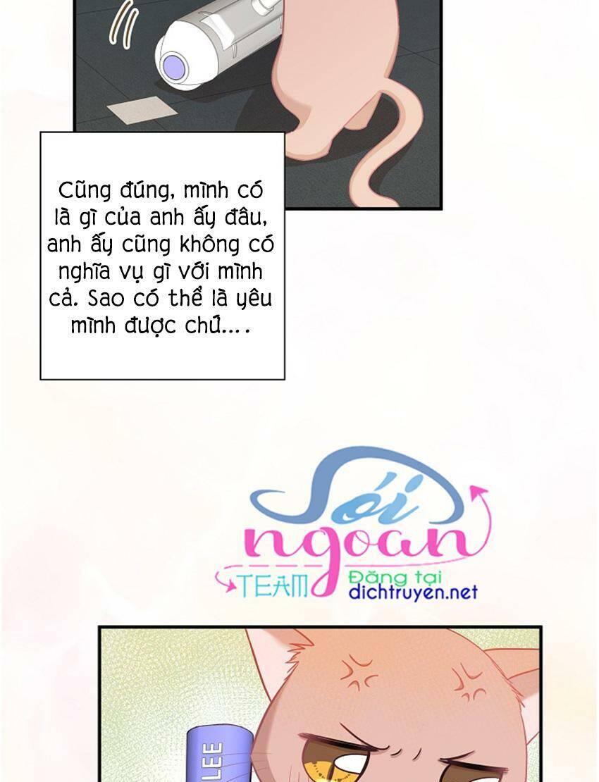 Một Cuộc Sống Kỳ Lạ Chapter 17 - 5