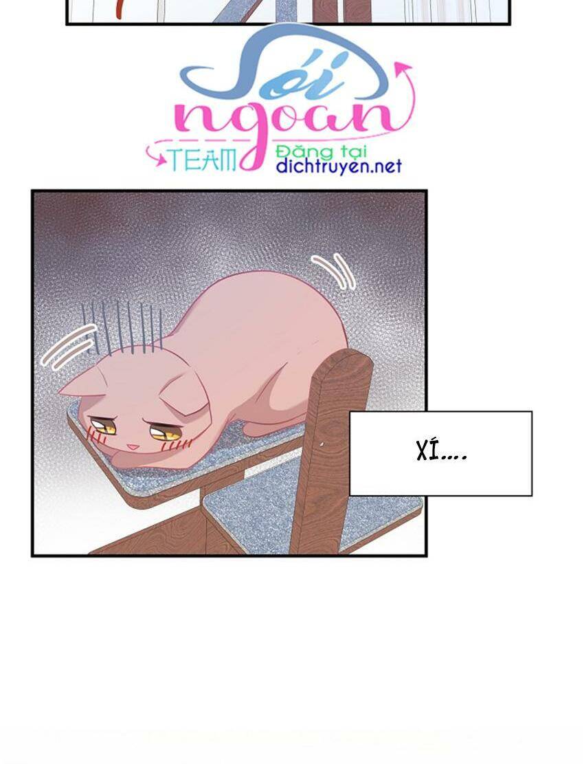 Một Cuộc Sống Kỳ Lạ Chapter 17 - 10