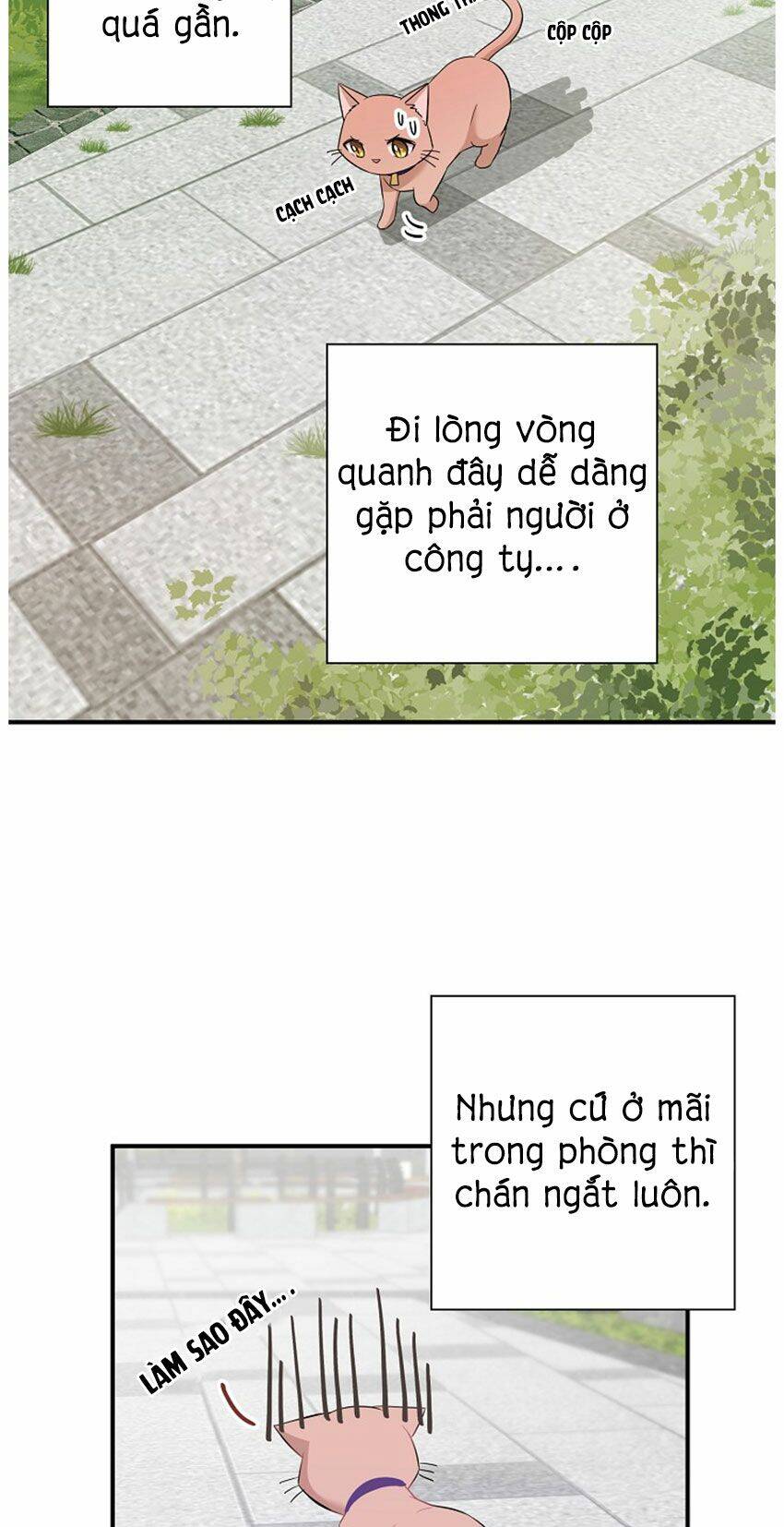 Một Cuộc Sống Kỳ Lạ Chapter 21 - 11