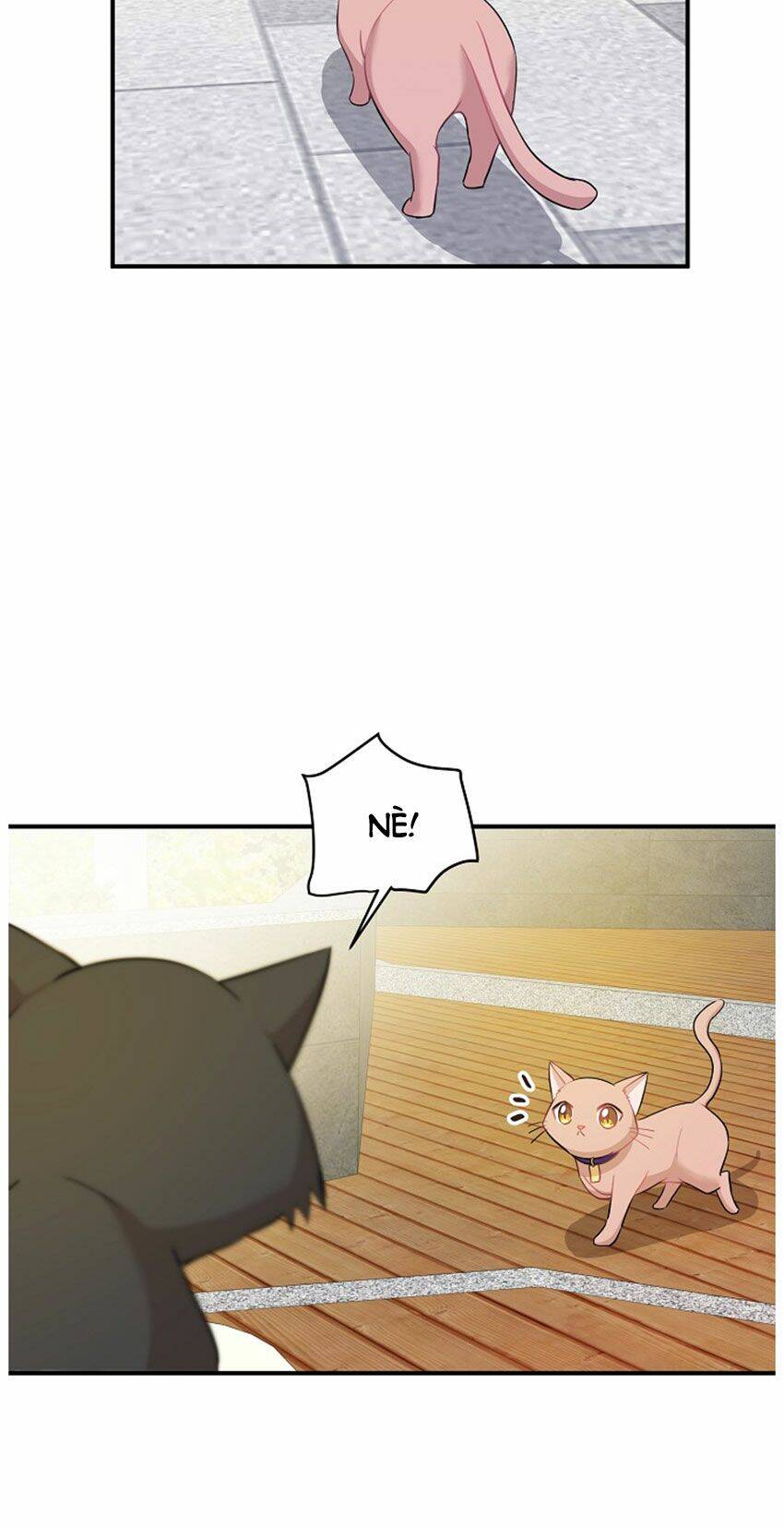 Một Cuộc Sống Kỳ Lạ Chapter 21 - 12