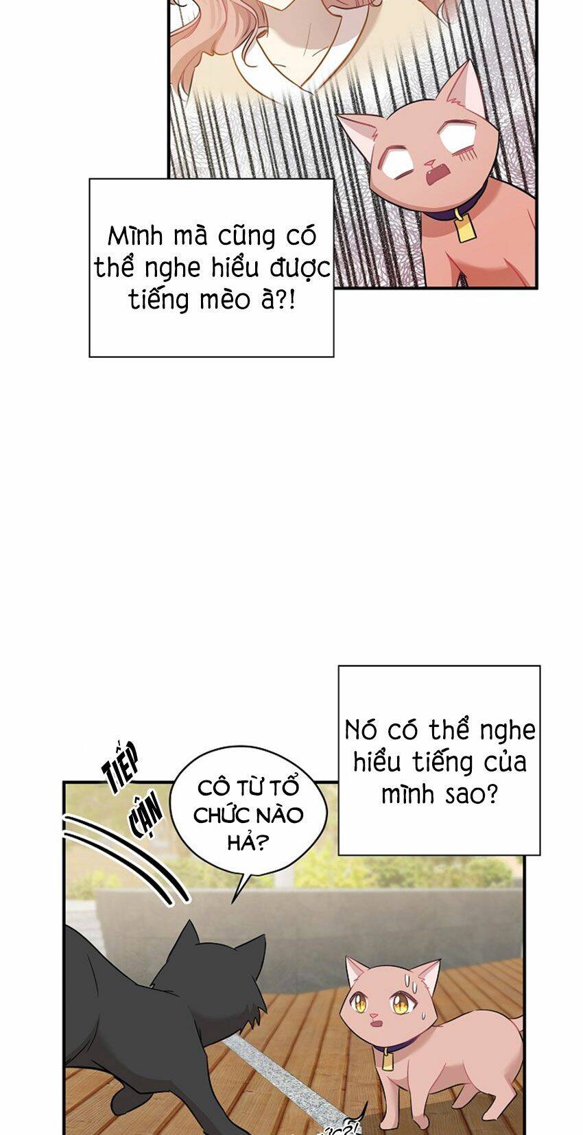 Một Cuộc Sống Kỳ Lạ Chapter 21 - 14