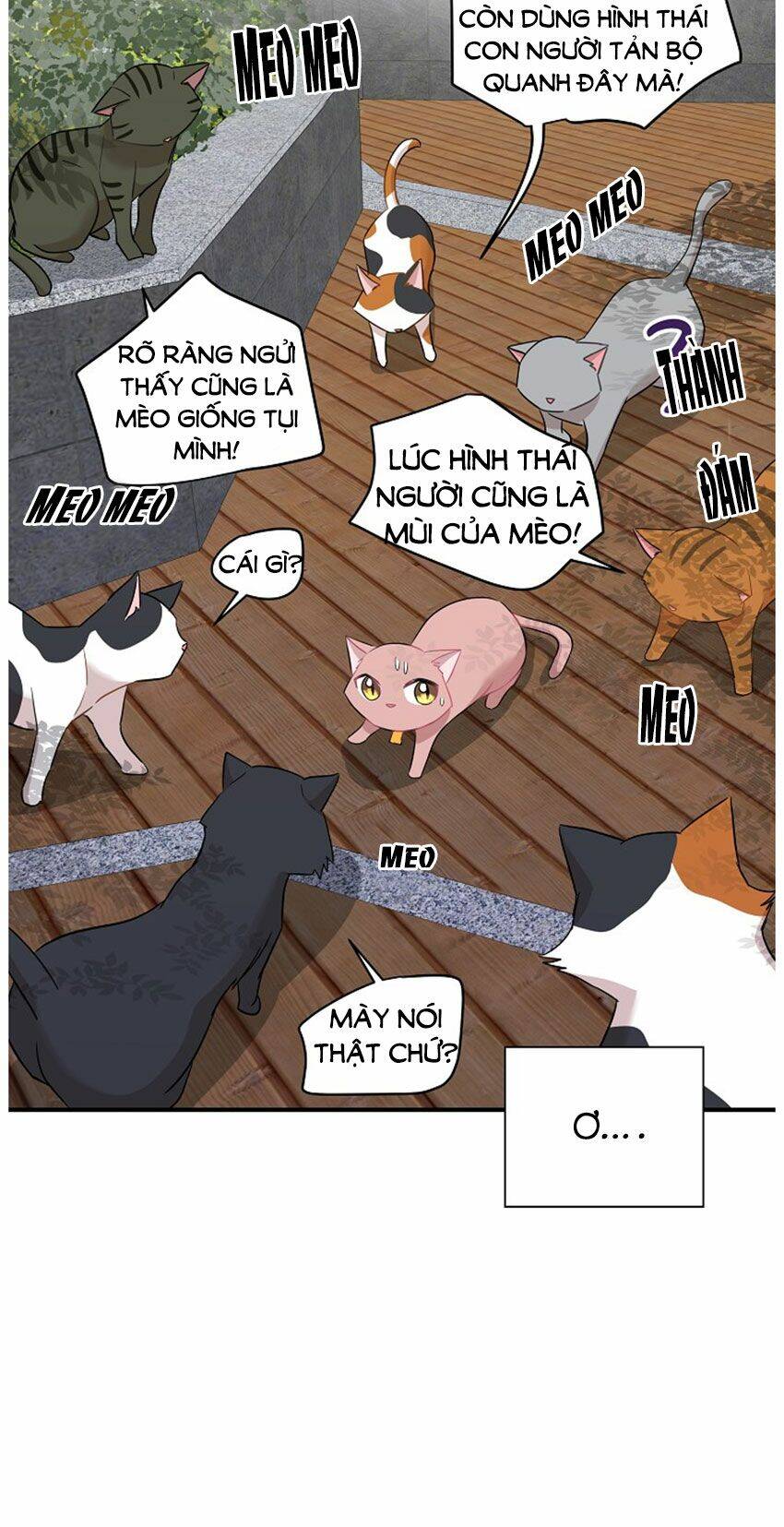 Một Cuộc Sống Kỳ Lạ Chapter 21 - 16