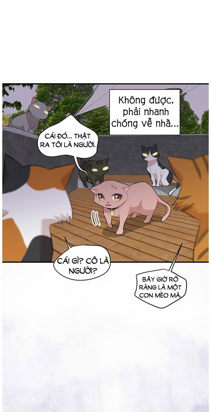 Một Cuộc Sống Kỳ Lạ Chapter 21 - 17