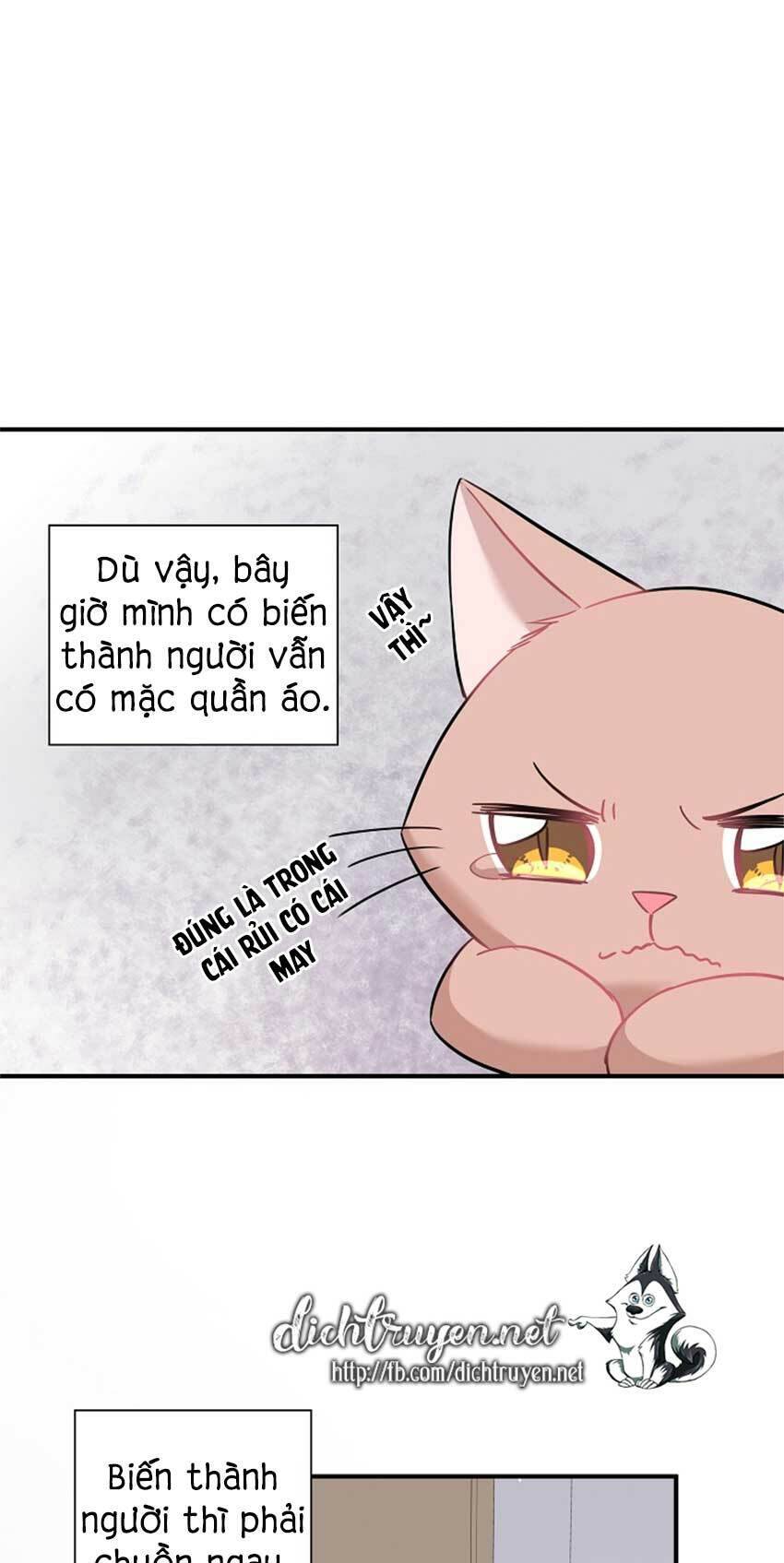 Một Cuộc Sống Kỳ Lạ Chapter 22 - 16