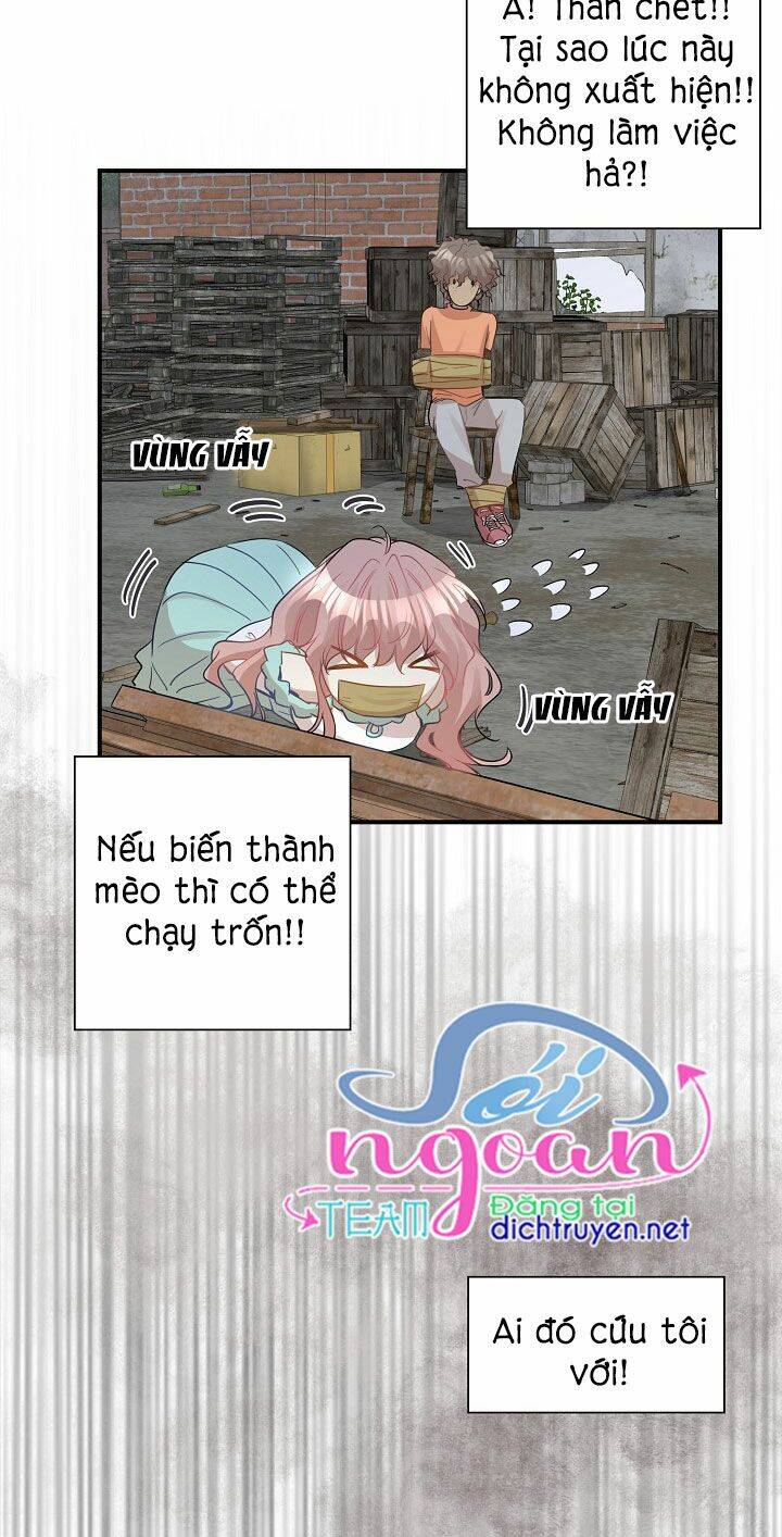 Một Cuộc Sống Kỳ Lạ Chapter 26 - 19