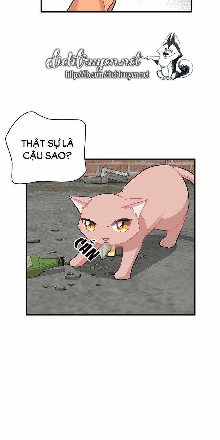 Một Cuộc Sống Kỳ Lạ Chapter 26 - 26