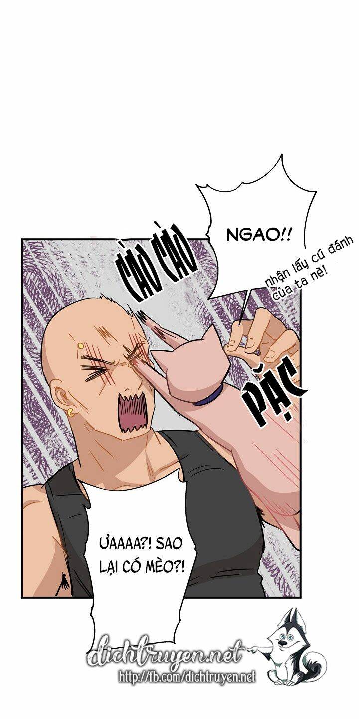 Một Cuộc Sống Kỳ Lạ Chapter 26 - 28