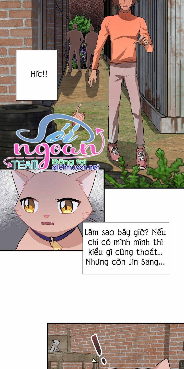 Một Cuộc Sống Kỳ Lạ Chapter 26 - 33