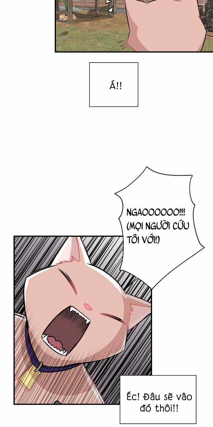 Một Cuộc Sống Kỳ Lạ Chapter 26 - 34