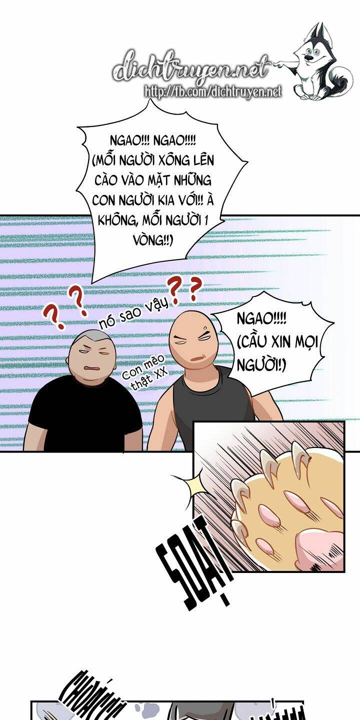 Một Cuộc Sống Kỳ Lạ Chapter 26 - 35