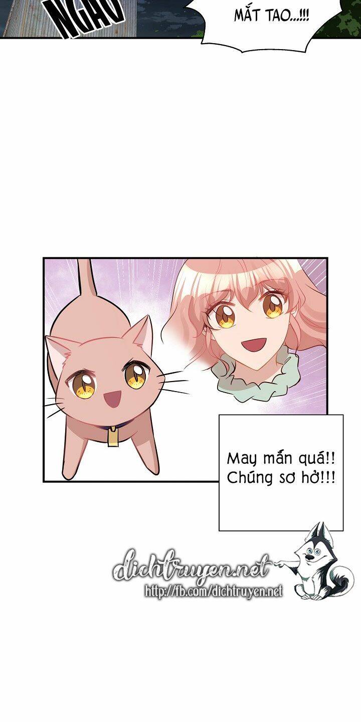 Một Cuộc Sống Kỳ Lạ Chapter 26 - 37