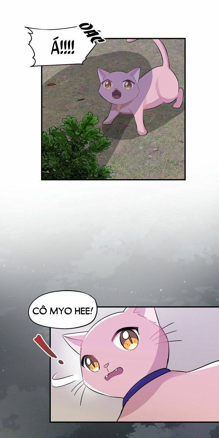 Một Cuộc Sống Kỳ Lạ Chapter 26 - 40