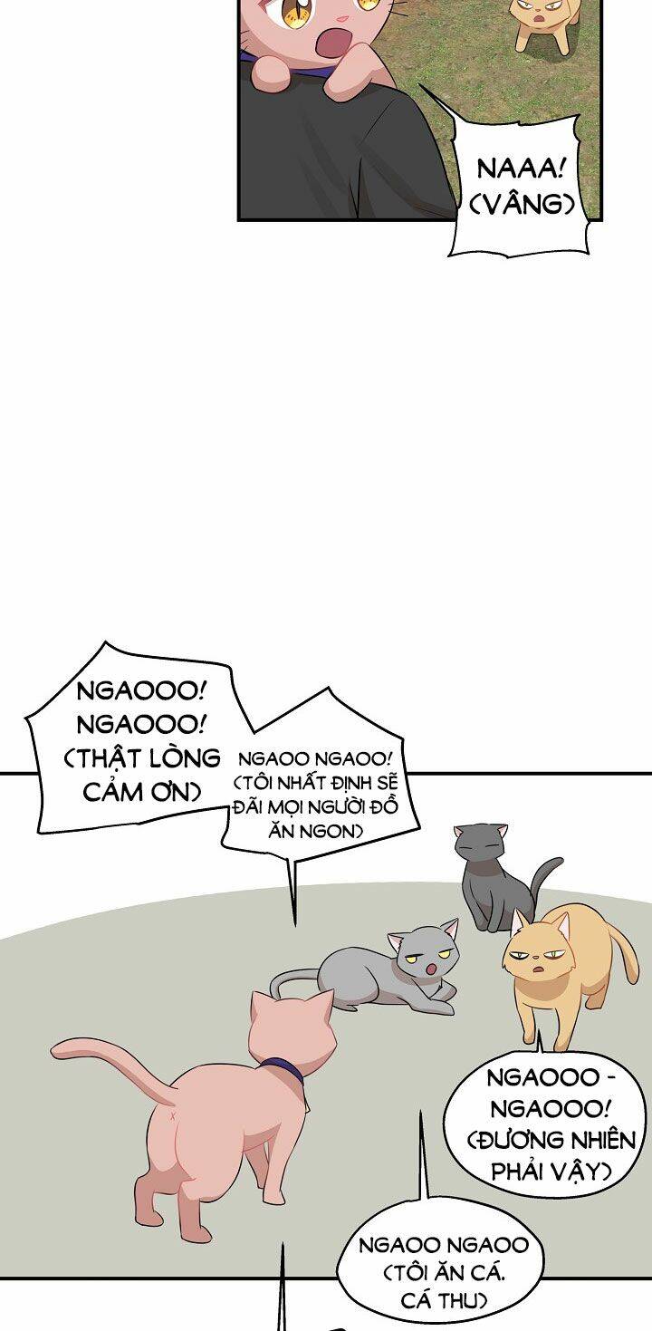 Một Cuộc Sống Kỳ Lạ Chapter 26 - 46