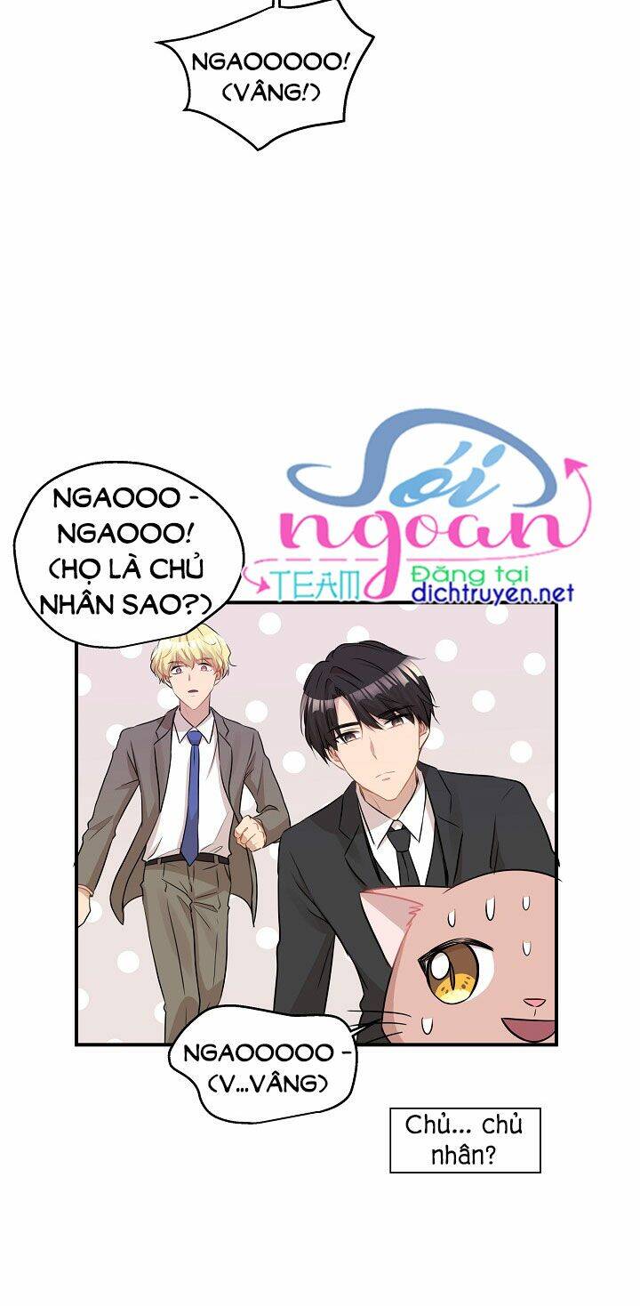 Một Cuộc Sống Kỳ Lạ Chapter 26 - 47