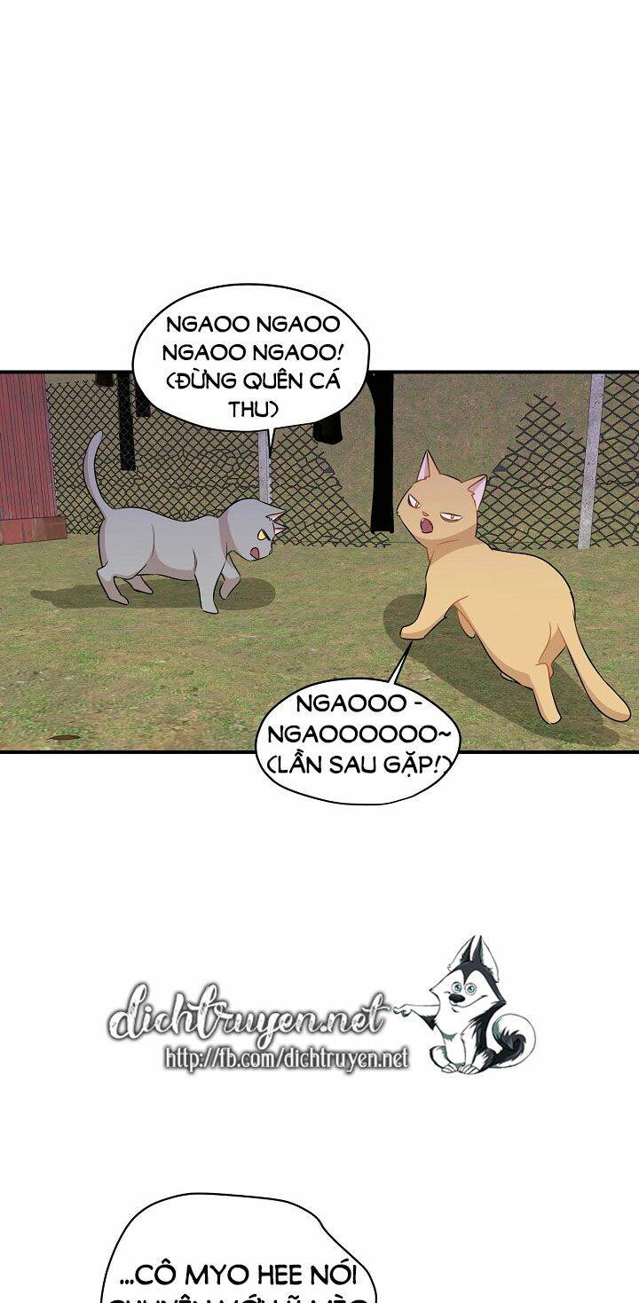 Một Cuộc Sống Kỳ Lạ Chapter 26 - 48