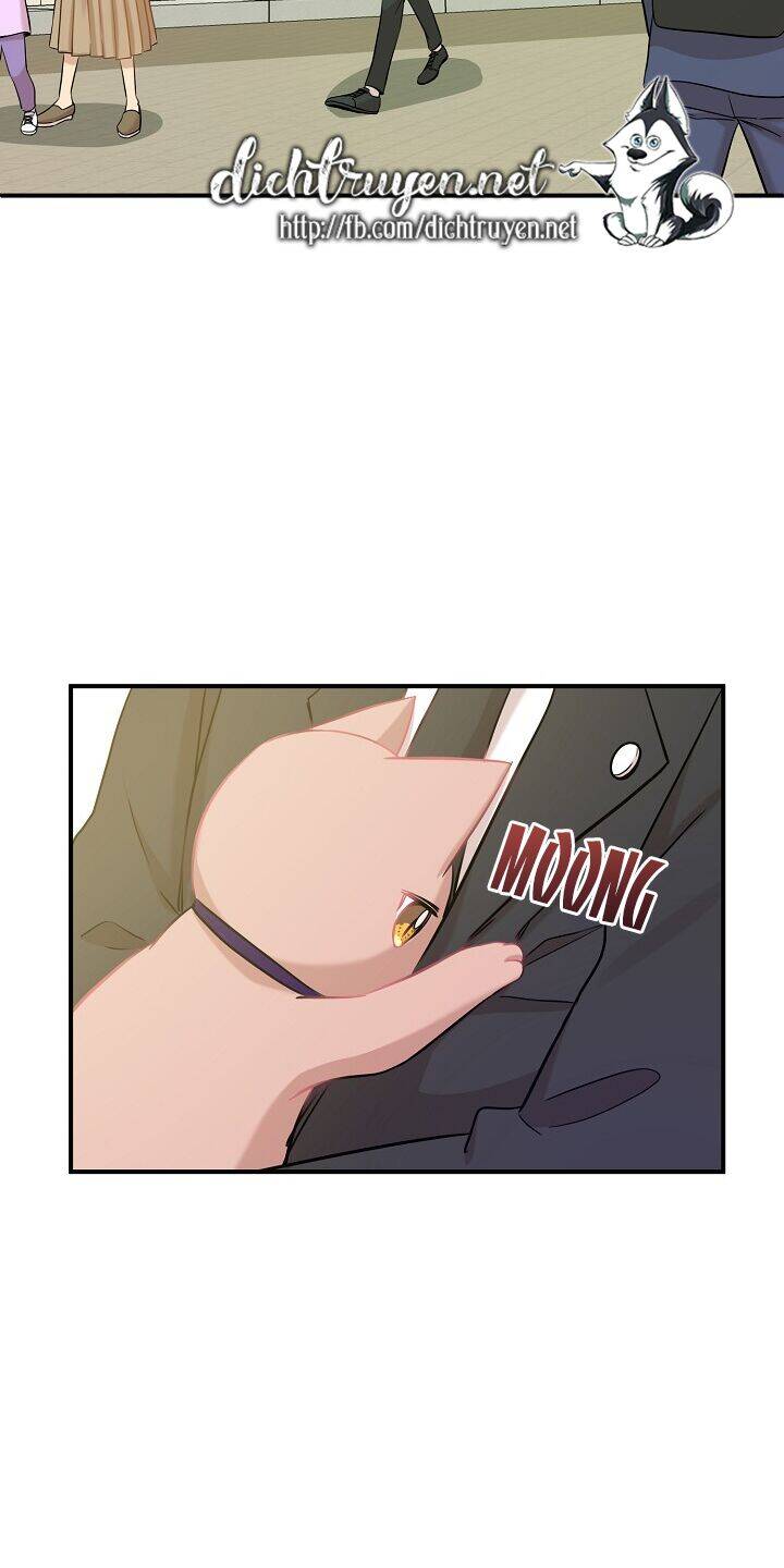 Một Cuộc Sống Kỳ Lạ Chapter 30 - 38