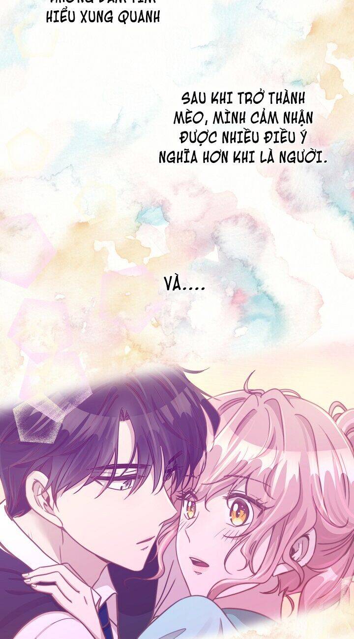 Một Cuộc Sống Kỳ Lạ Chapter 30 - 54
