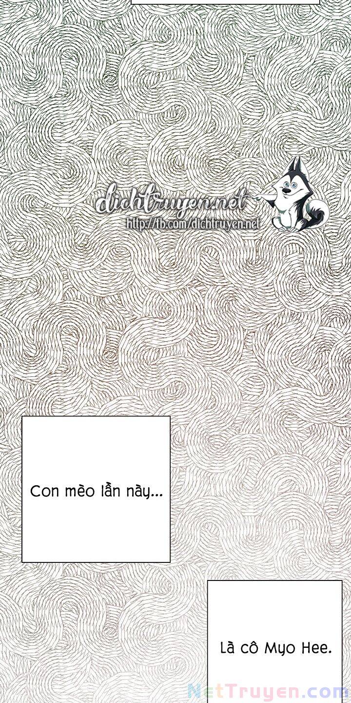 Một Cuộc Sống Kỳ Lạ Chapter 34 - 47