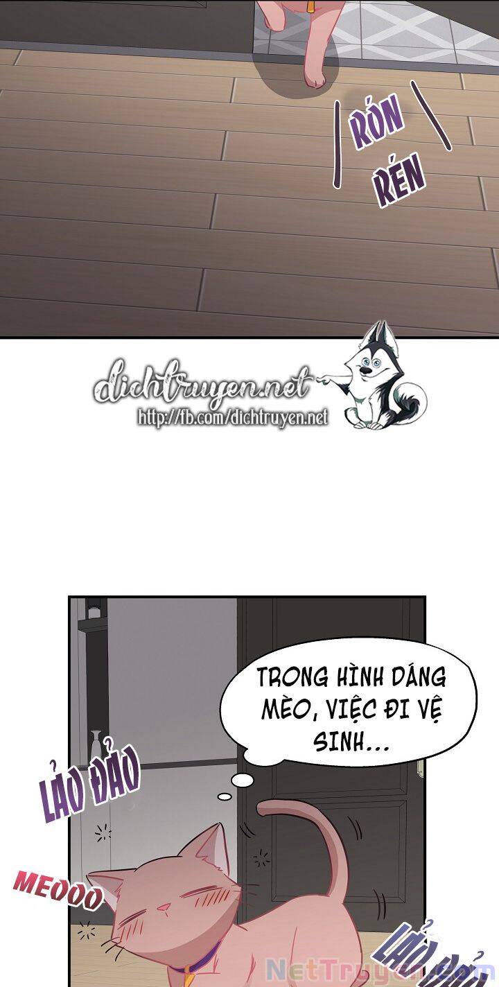 Một Cuộc Sống Kỳ Lạ Chapter 35 - 1