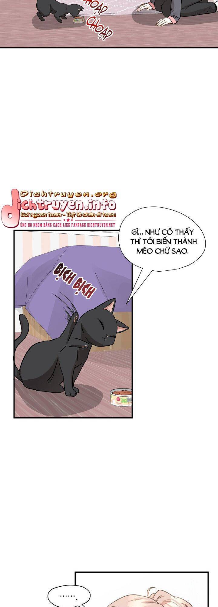 Một Cuộc Sống Kỳ Lạ Chapter 52 - 35