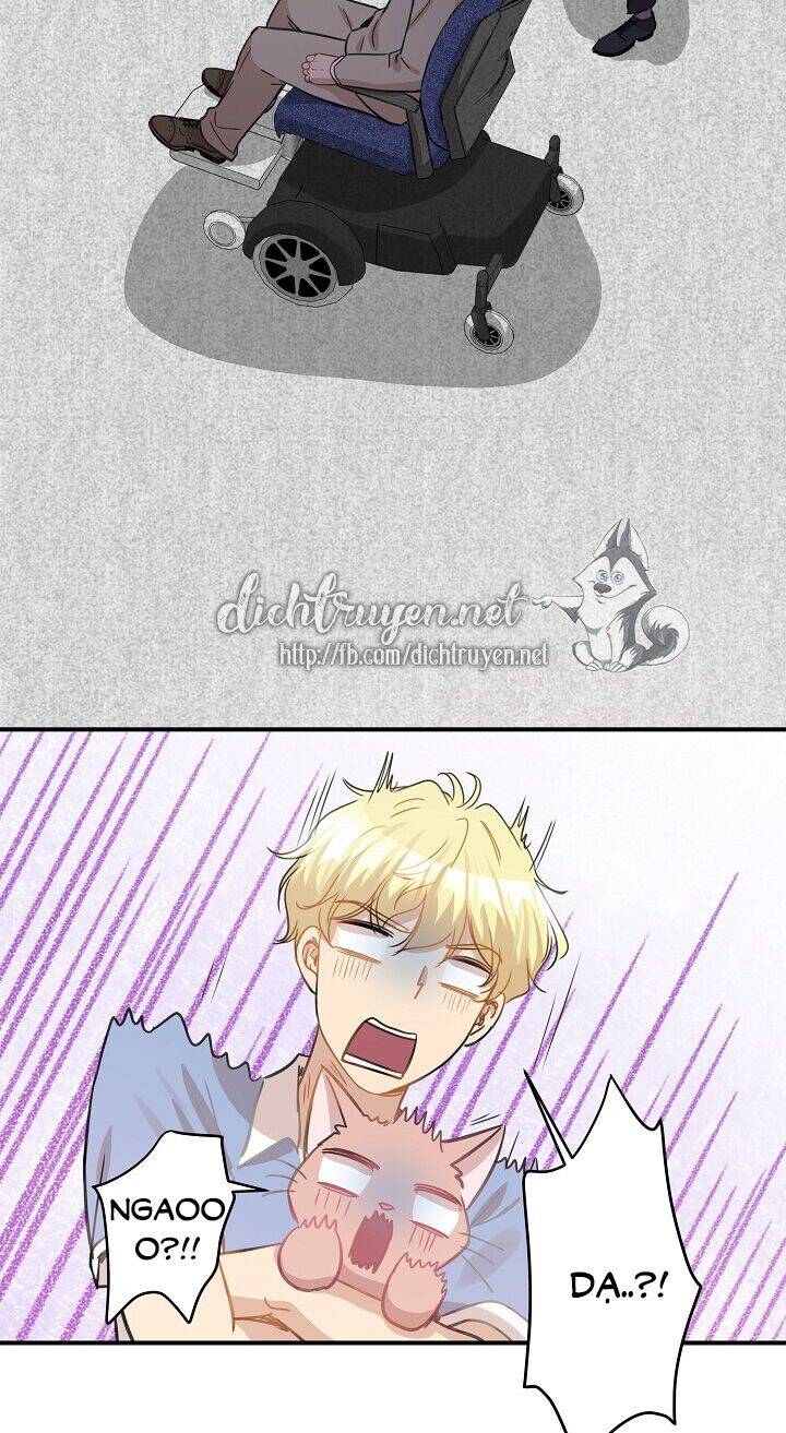 Một Cuộc Sống Kỳ Lạ Chapter 36 - 59