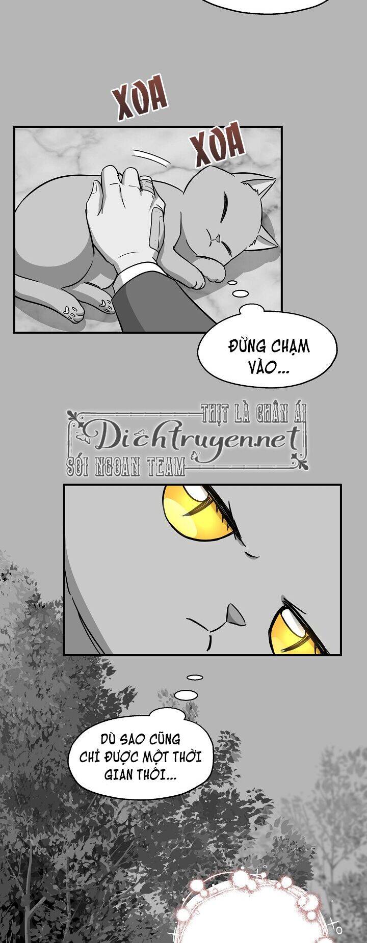 Một Cuộc Sống Kỳ Lạ Chapter 41 - 15