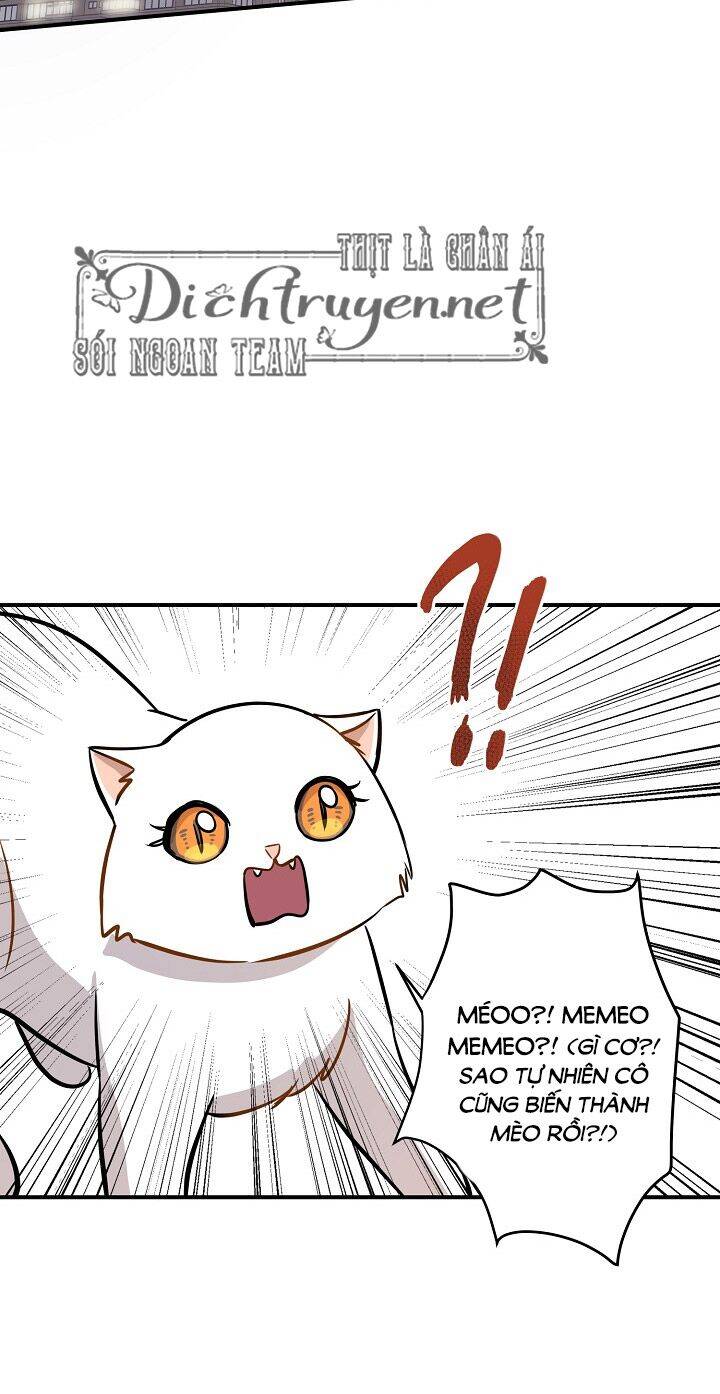 Một Cuộc Sống Kỳ Lạ Chapter 44 - 18