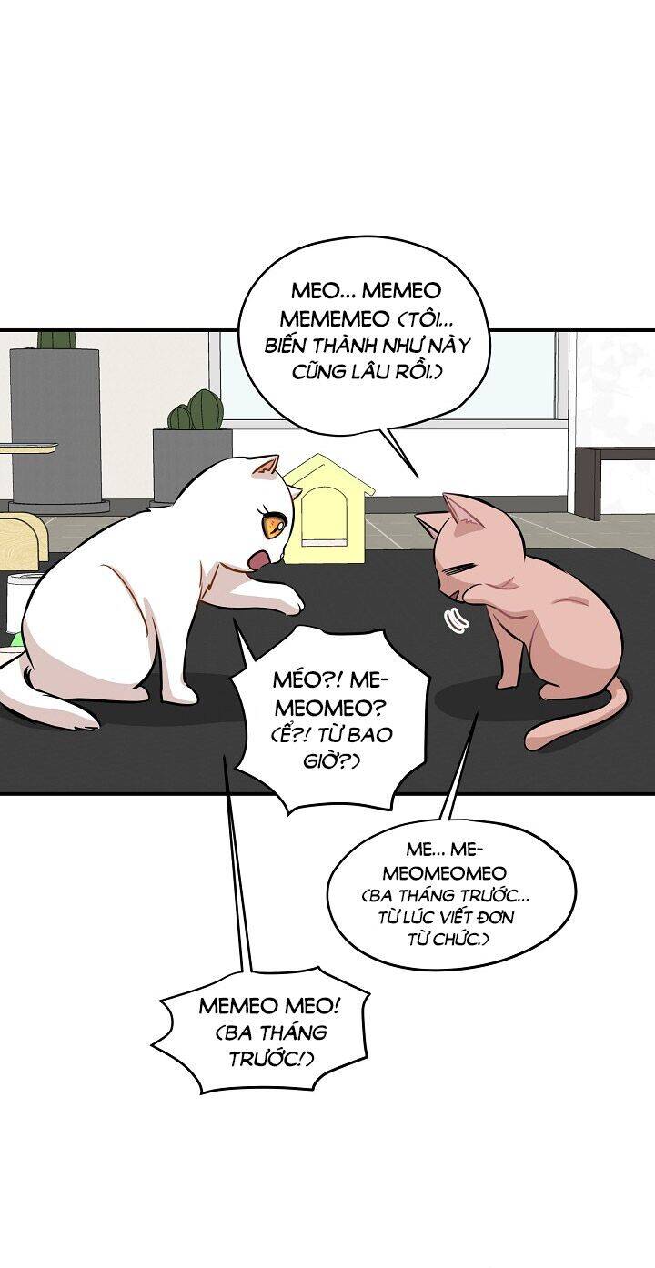 Một Cuộc Sống Kỳ Lạ Chapter 44 - 19