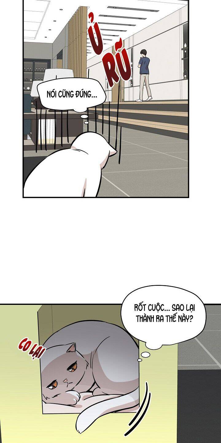 Một Cuộc Sống Kỳ Lạ Chapter 44 - 27